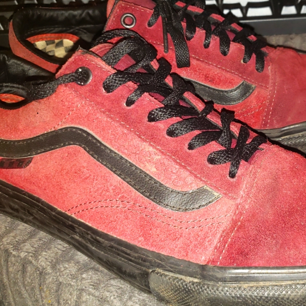 Vans snake skin shoes